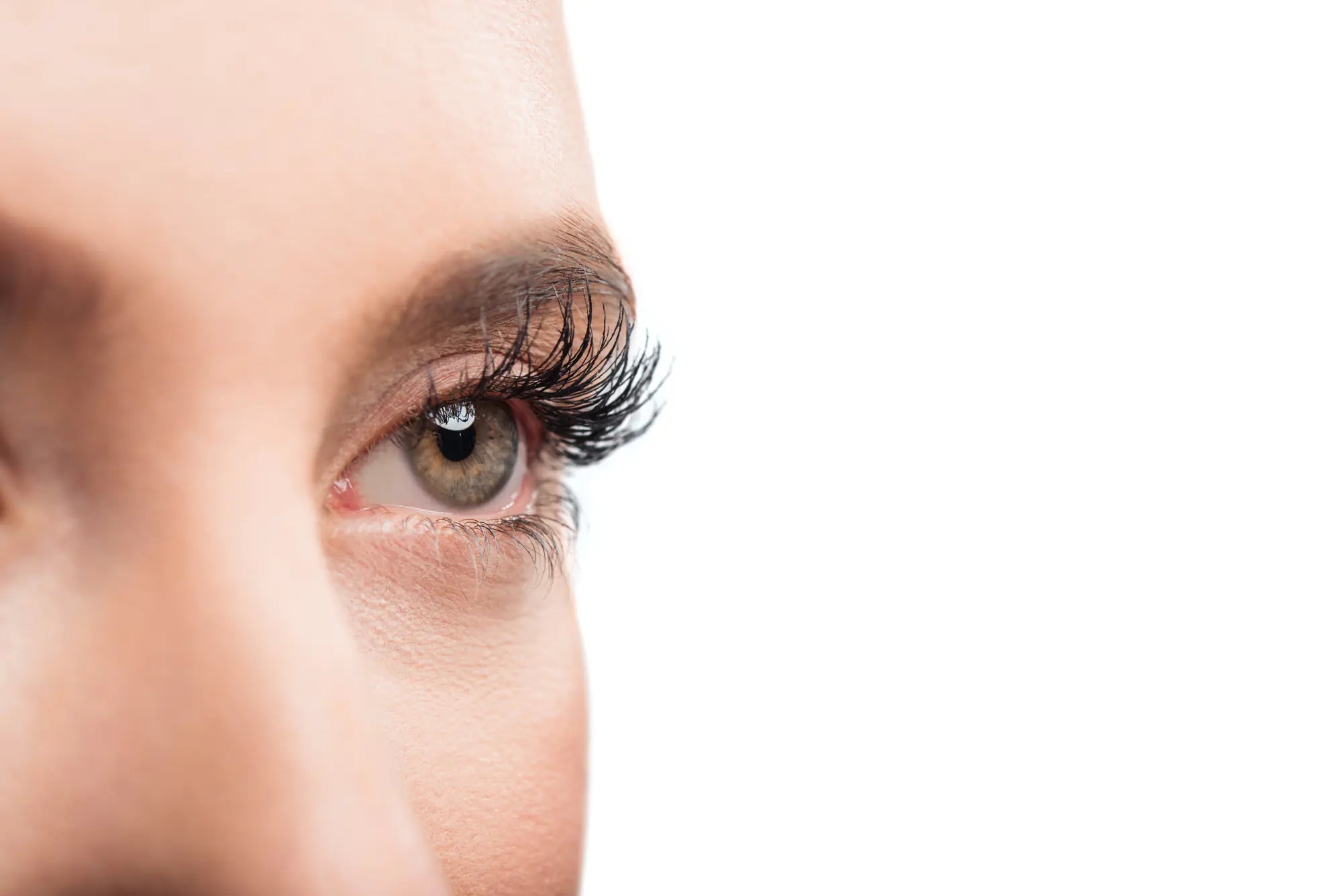 Holiday Lash Prep Starts Now